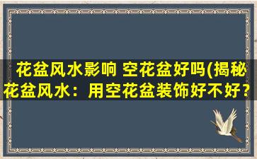 花盆风水影响 空花盆好吗(揭秘花盆风水：用空花盆装饰好不好？)